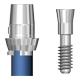 Picture of 5.0 Platform Abutment (BlueSkyBio.com)